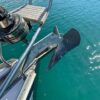 Jacht marki Elan 36 s/y Demeter. Długość kadłuba 10,64m. Zanurzenie 1,7 m