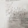 Wiązka elektryczna do silnika Mercury 84 859743T03